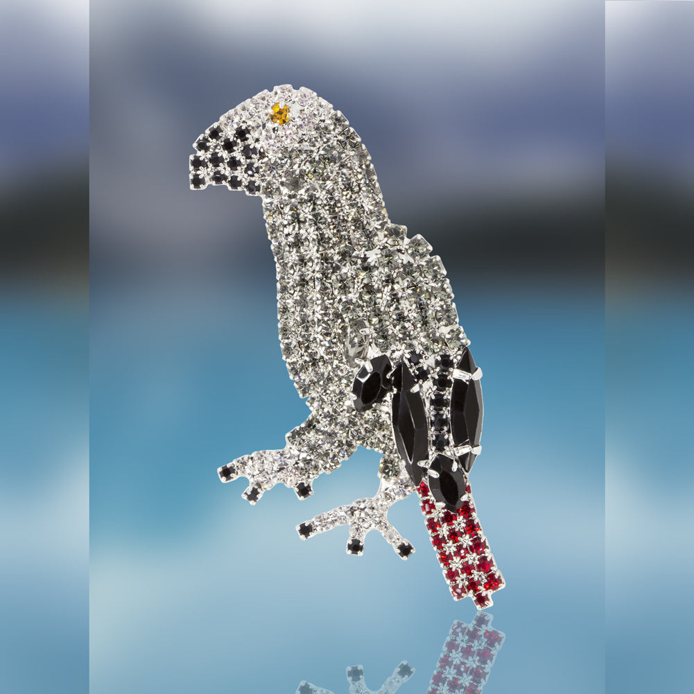 African Gray Parrot Pin with Swarovski Crystal Stones by Albert Weiss